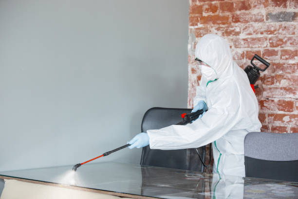 Mold Remediation for Rental Properties in Shawnee, OK