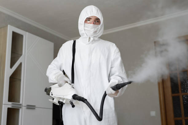 Mold Odor Removal Services in Shawnee, OK